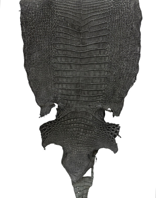 42 cm Grade 3/4 Anthracite Nubuck Wild American Alligator Leather - Tag: LA18-0015023