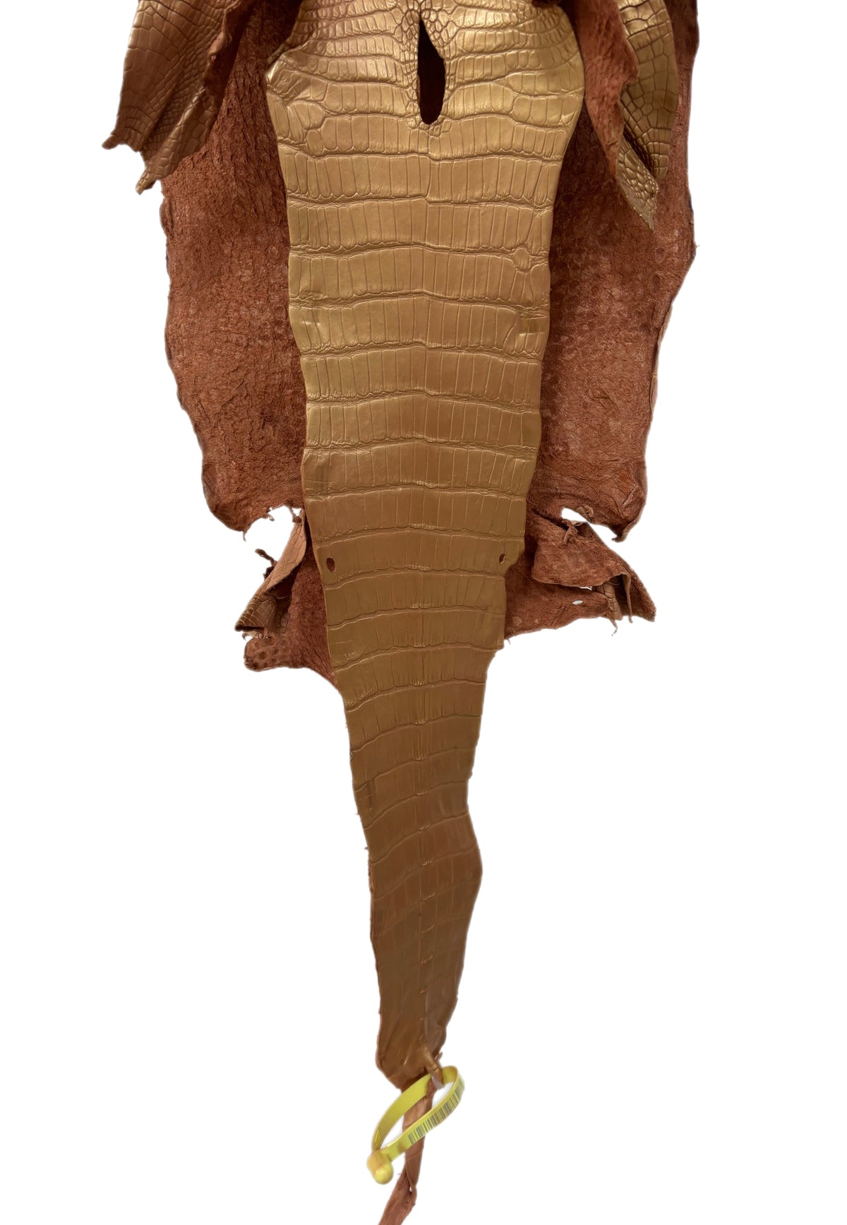 26 cm Grade 2/3 Champagne Metallic Matte Wild American Alligator Leather - Tag: LA19-0037191