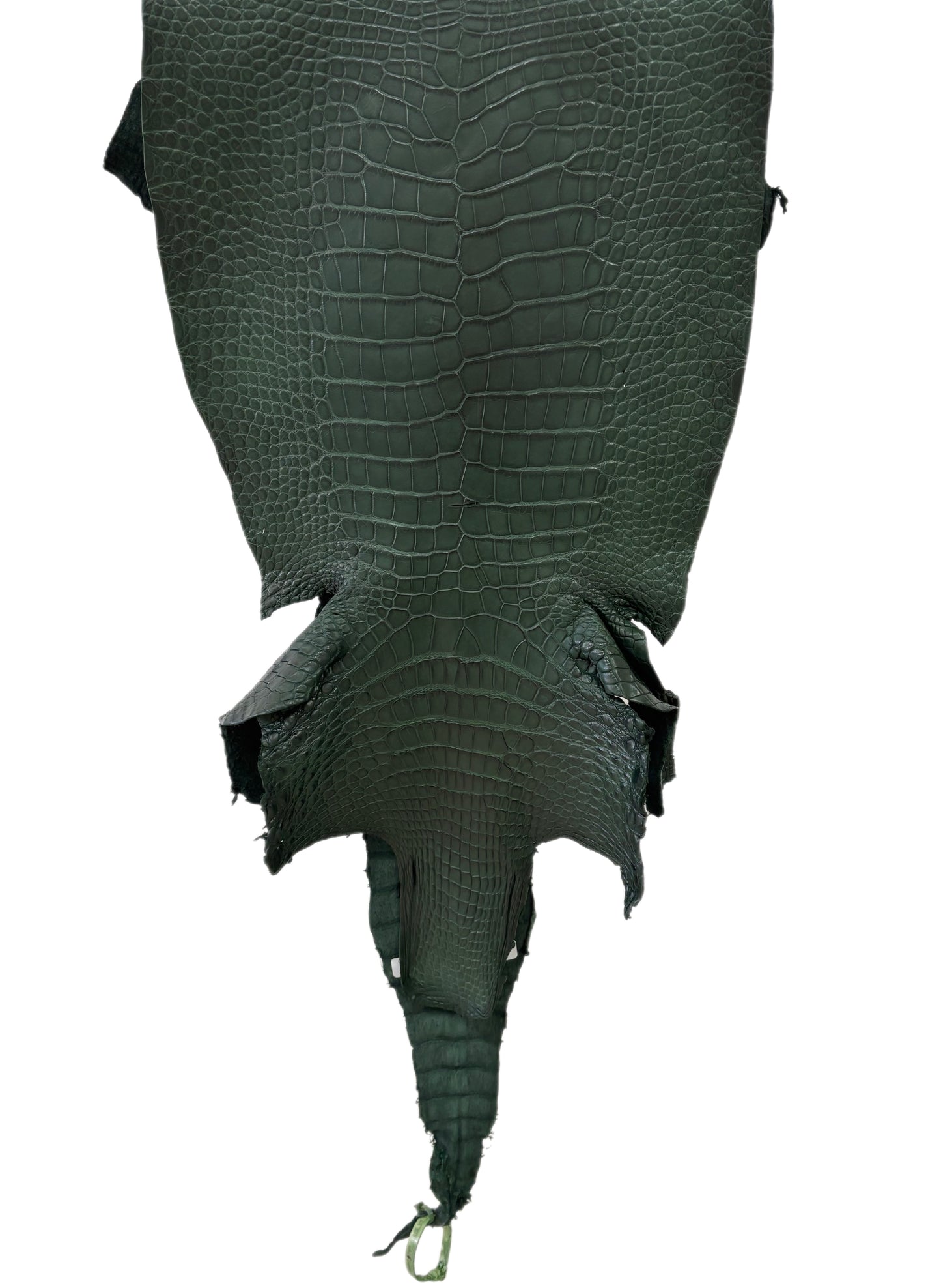 37 cm Grade 2/3 Forest Green Matte Wild American Alligator Leather - Tag: LA23-0049941