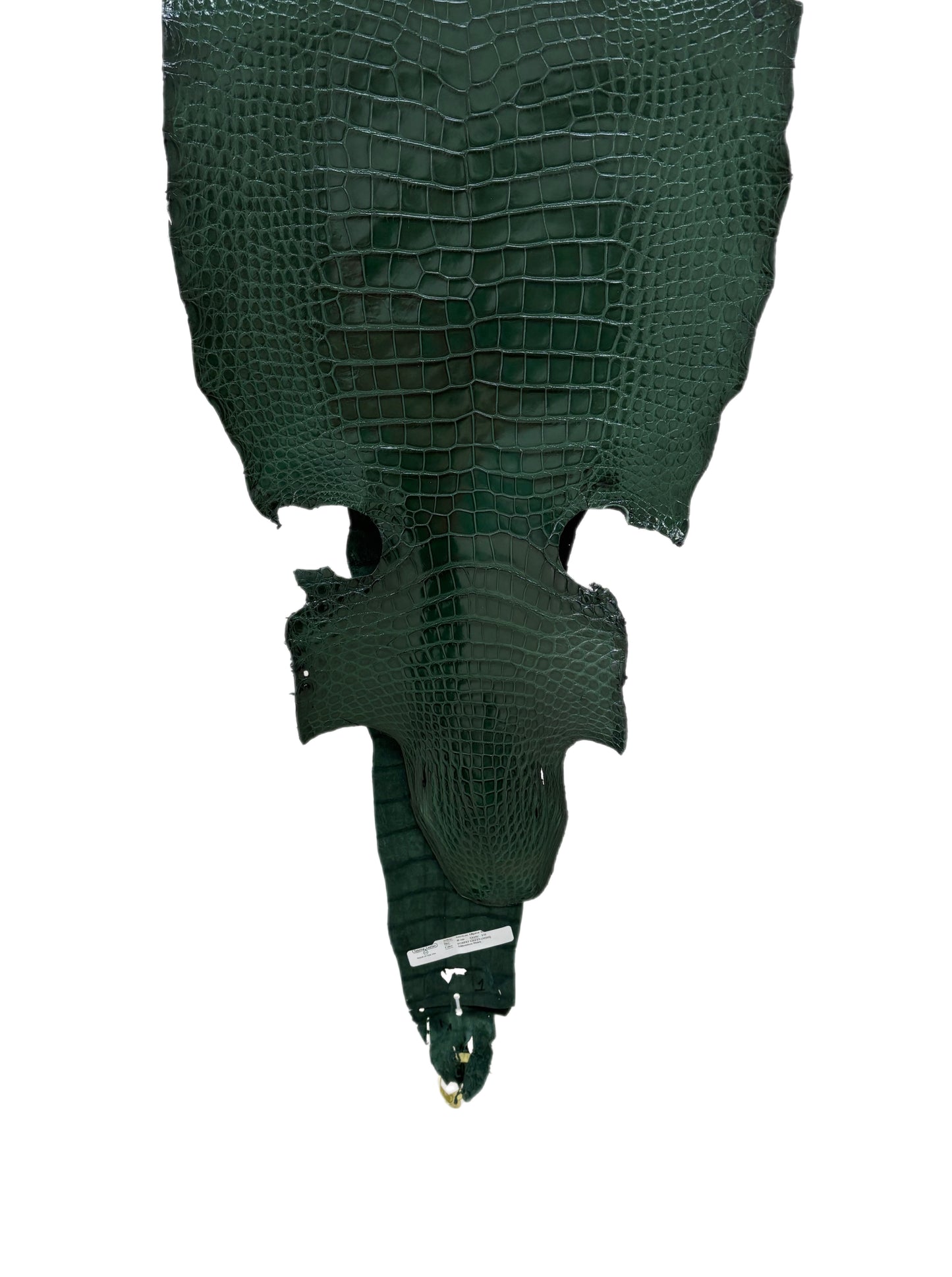 42 cm Grade 1/2 Forest Green Millennium Wild American Alligator Leather - Tag: LA16-0016650