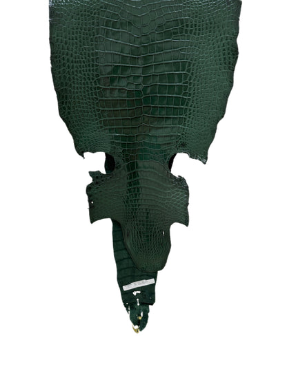 42 cm Grade 1/2 Forest Green Millennium Wild American Alligator Leather - Tag: LA16-0016650