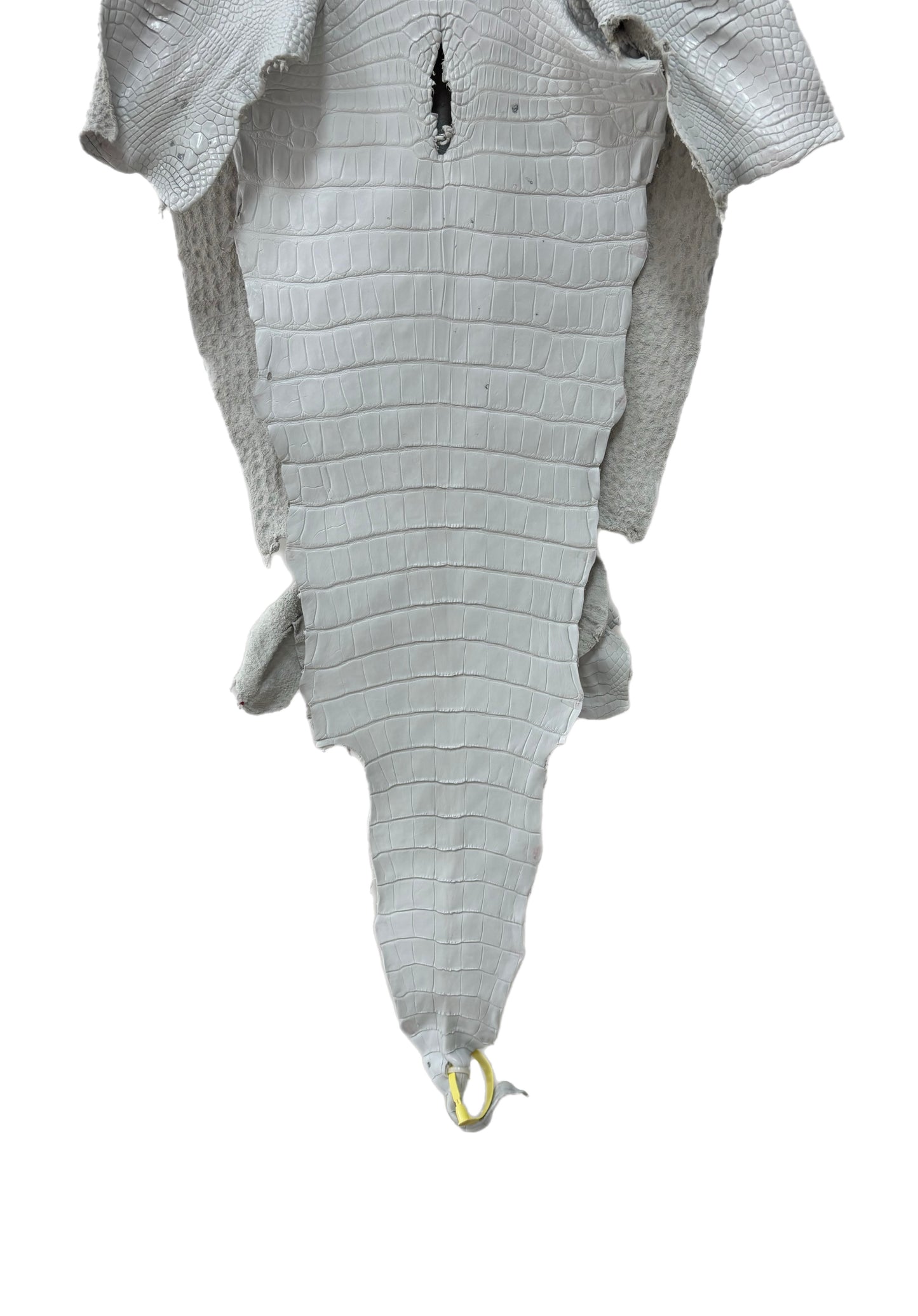 39 cm Grade 2/3 White Matte Farm-Raised American Alligator Leather - Tag: LA25-0316681