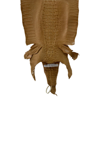 32 cm Grade 1/2 Antique Saddle Matte Farm-Raised American Alligator Hornback Leather - Tag: LA23-0377073