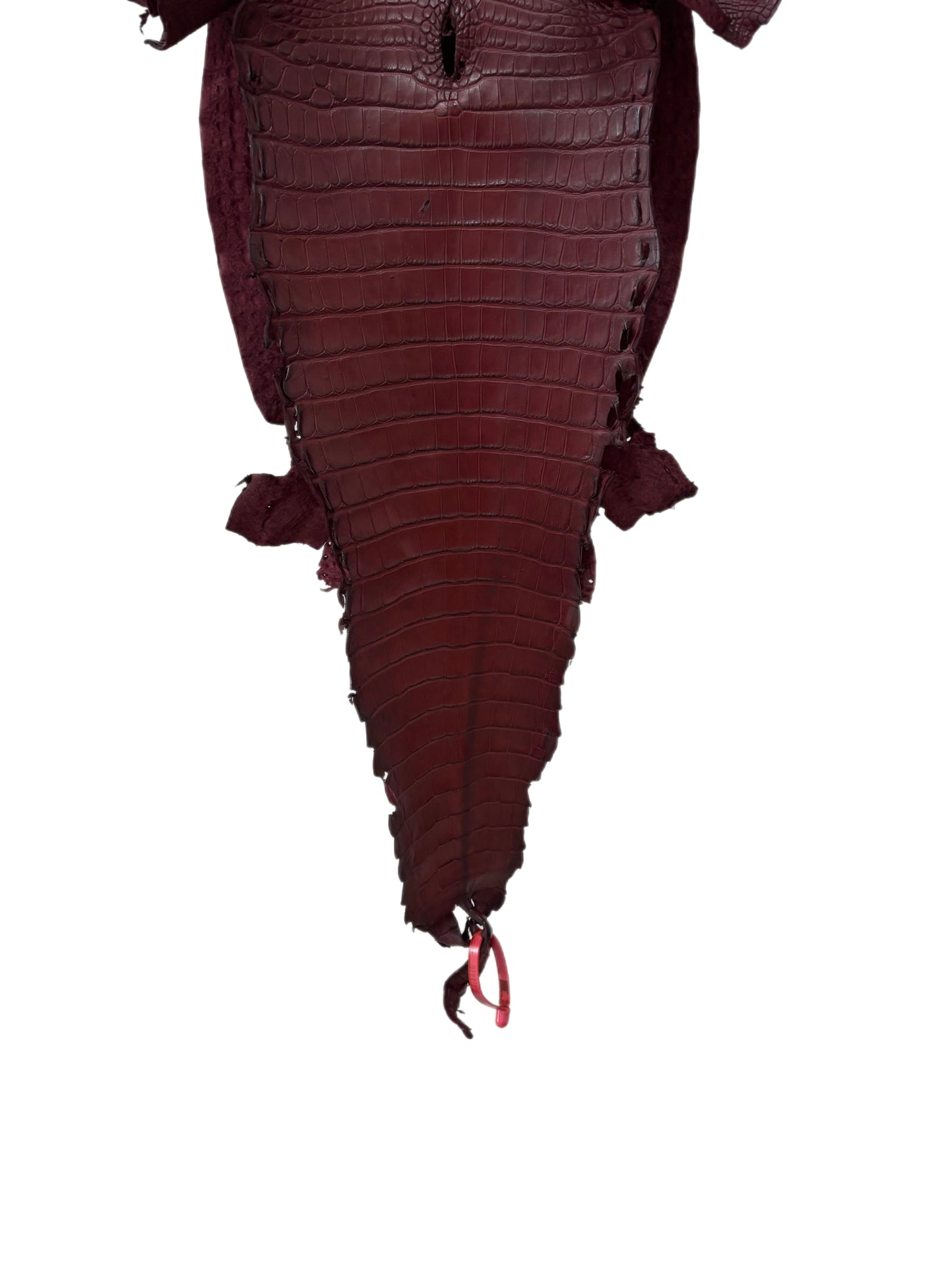 31 cm Grade 2/3 Bordeaux Matte Farm-Raised American Alligator Leather - Tag: FL21-0024096