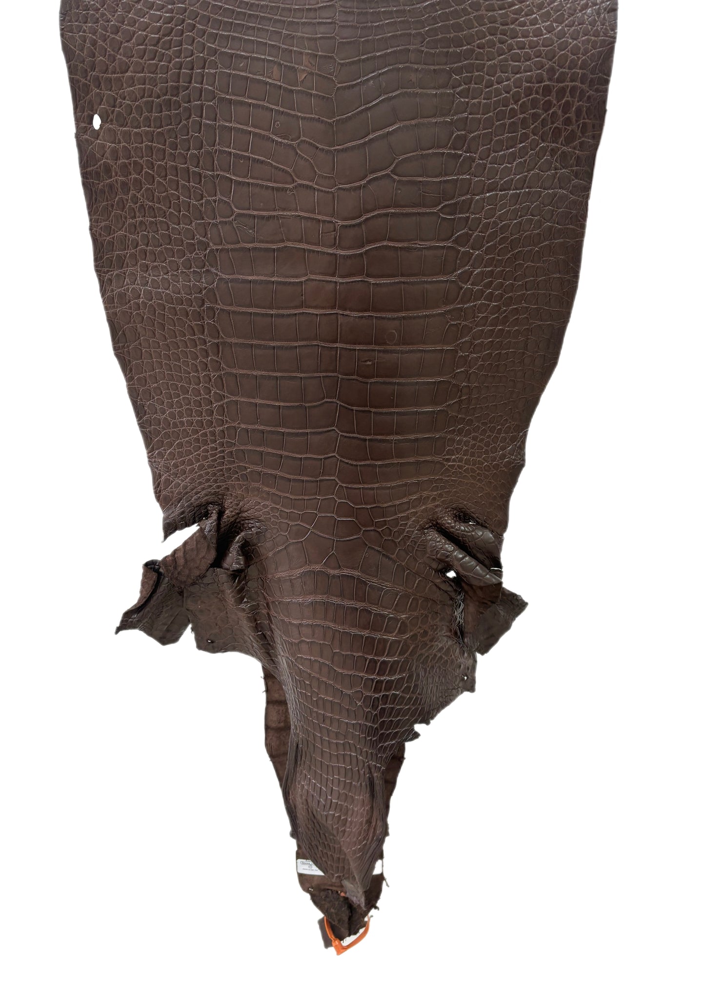 43 cm Grade 3/4 Chocolate Matte Wild American Alligator Leather - Tag: LA24-0022420