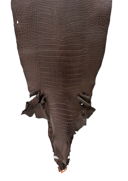 43 cm Grade 3/4 Chocolate Matte Wild American Alligator Leather - Tag: LA24-0022420