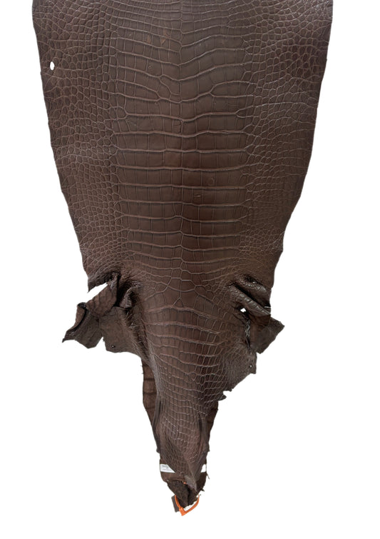 43 cm Grade 3/4 Chocolate Matte Wild American Alligator Leather - Tag: LA24-0022420