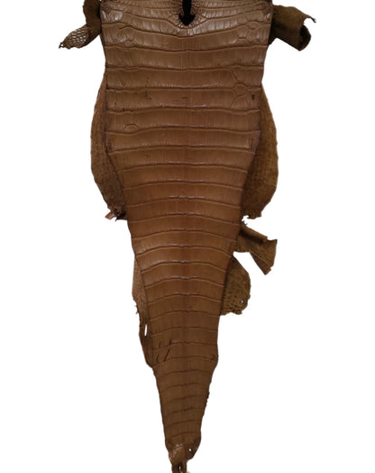 33 cm Grade 2/3 Kango Tabac Matte Farm-Raised American Alligator Leather - Tag: FL17-0036255