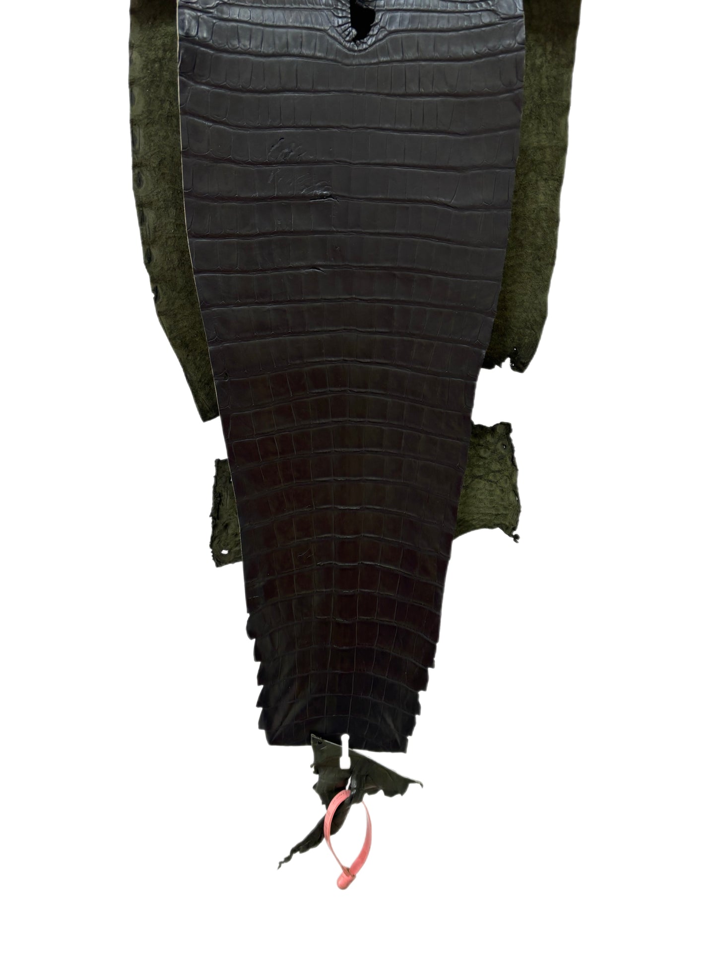 29 cm Grade 2/3 Olive Antique Farm-Raised American Alligator Leather - Tag: FL21-0024465