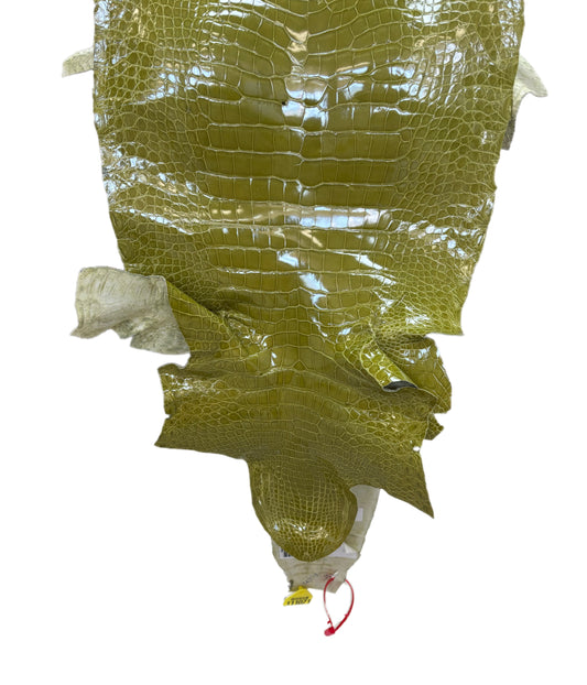 CLOSEOUT | 36 cm Grade 1/2 Muguet Glazed Wild American Alligator Leather - Tag: CCIT-0539924