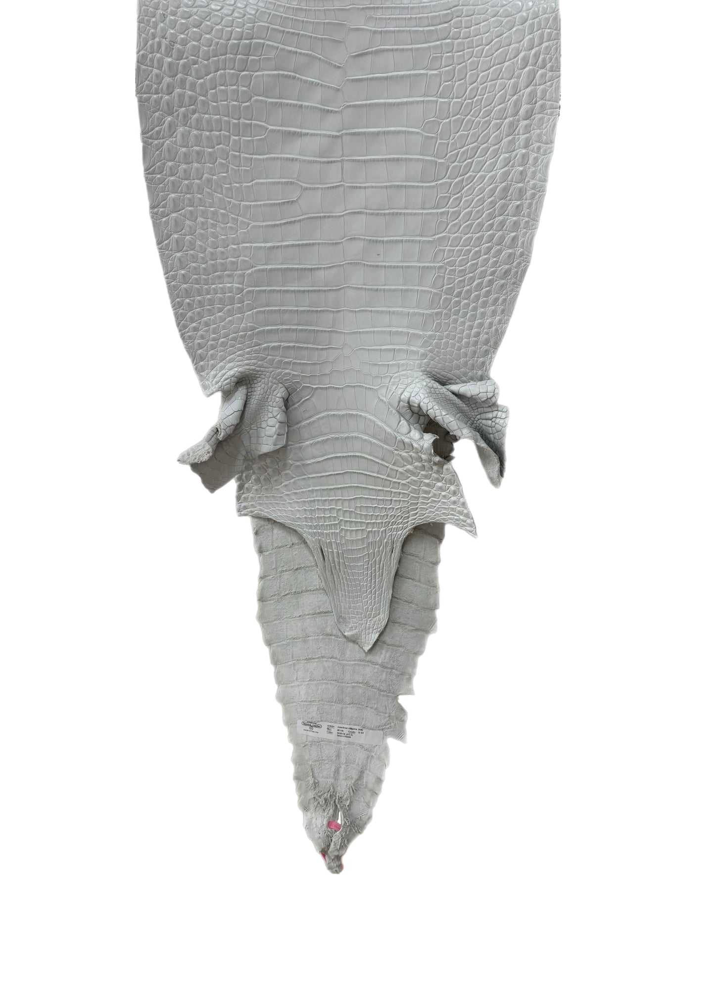 36 cm Grade 2/3 White Matte Farm-Raised American Alligator Leather - Tag: FL21-0024377