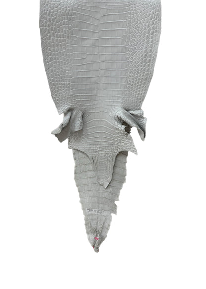 36 cm Grade 2/3 White Matte Farm-Raised American Alligator Leather - Tag: FL21-0024377