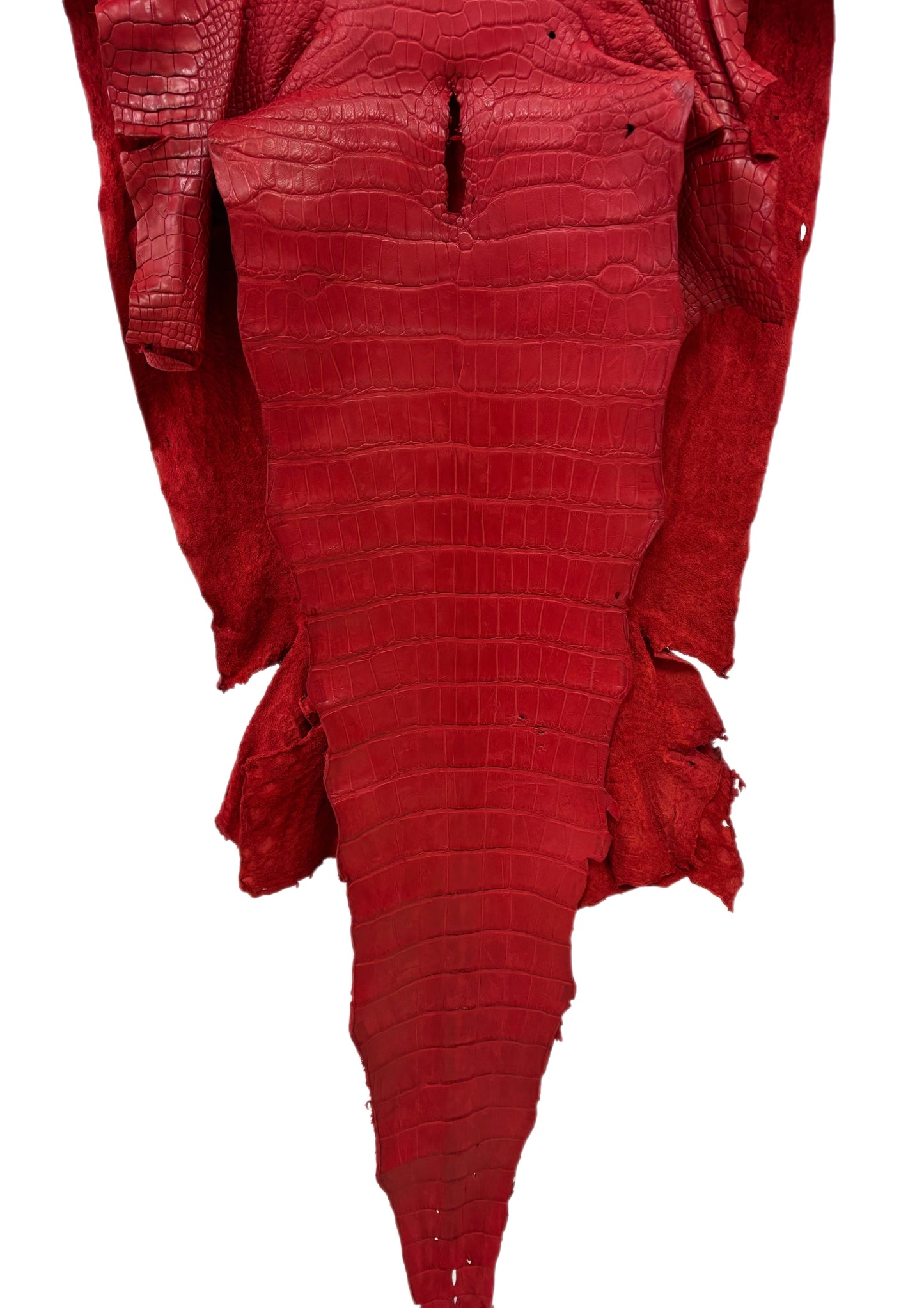 47 cm Grade 3/4 Candy Apple Red Matte Wild American Alligator Leather - Tag: LA24-0037331