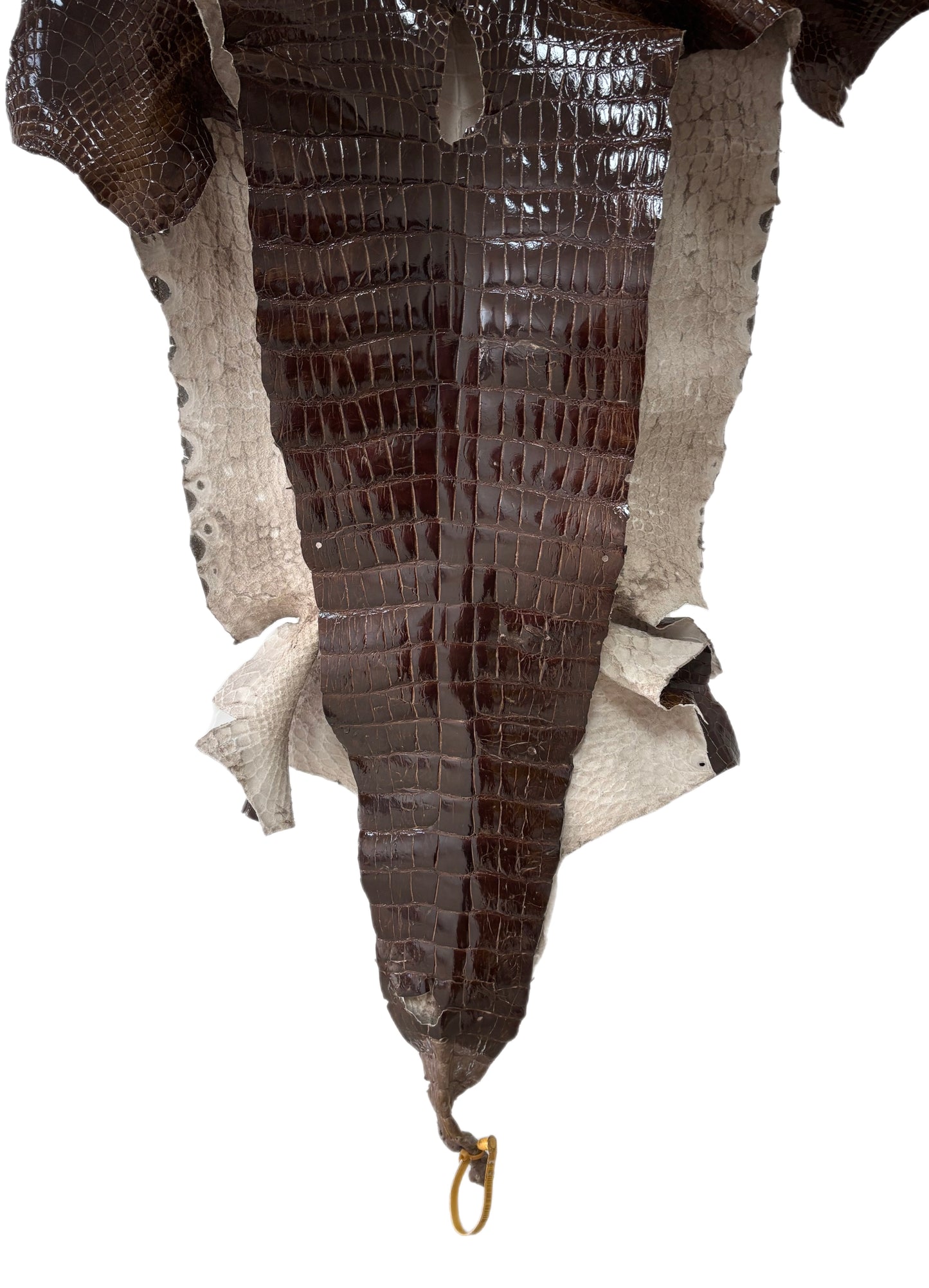 48 cm Grade 4/5 Sport Rust Brown Glazed Wild American Alligator Leather - Tag: LA23-0016746