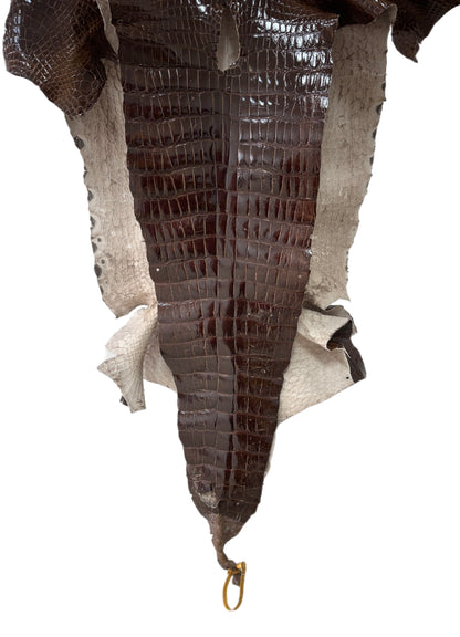 48 cm Grade 4/5 Sport Rust Brown Glazed Wild American Alligator Leather - Tag: LA23-0016746