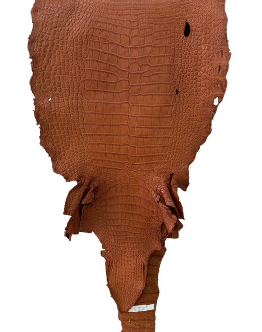41 cm Grade 4/5 Cognac Matte Wild American Alligator Leather - Tag: LA23-0023019