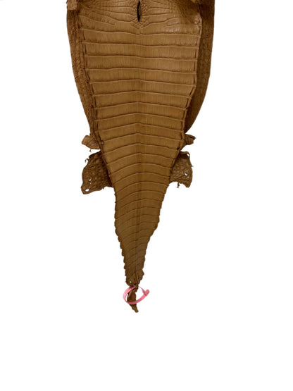 28 cm Grade 1/2 Antique Saddle Matte Farm-Raised American Alligator Leather - Tag: FL21-0024617