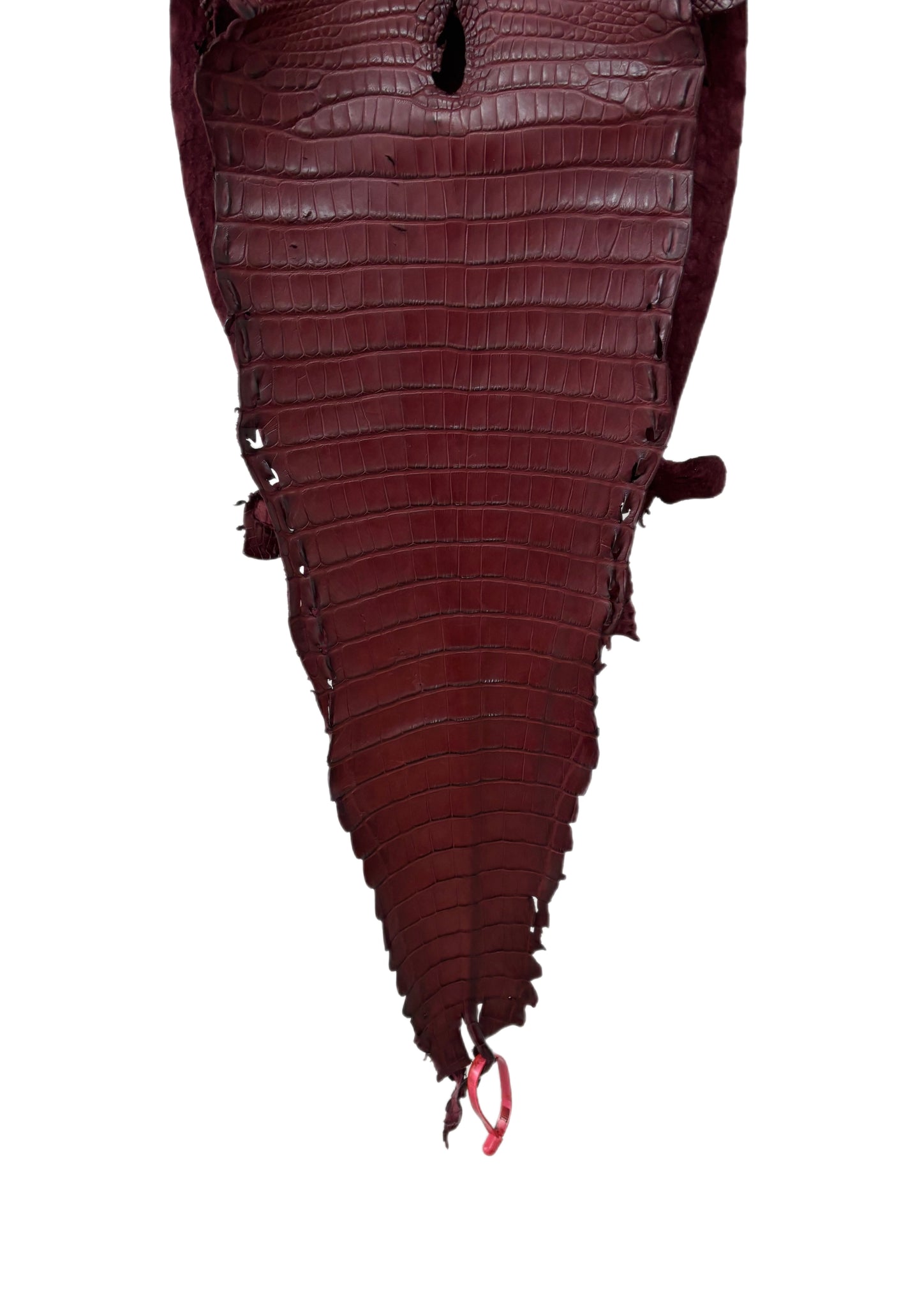 30 cm Grade 1/2 Bordeaux Matte Farm-Raised American Alligator Leather - Tag: FL21-0023970