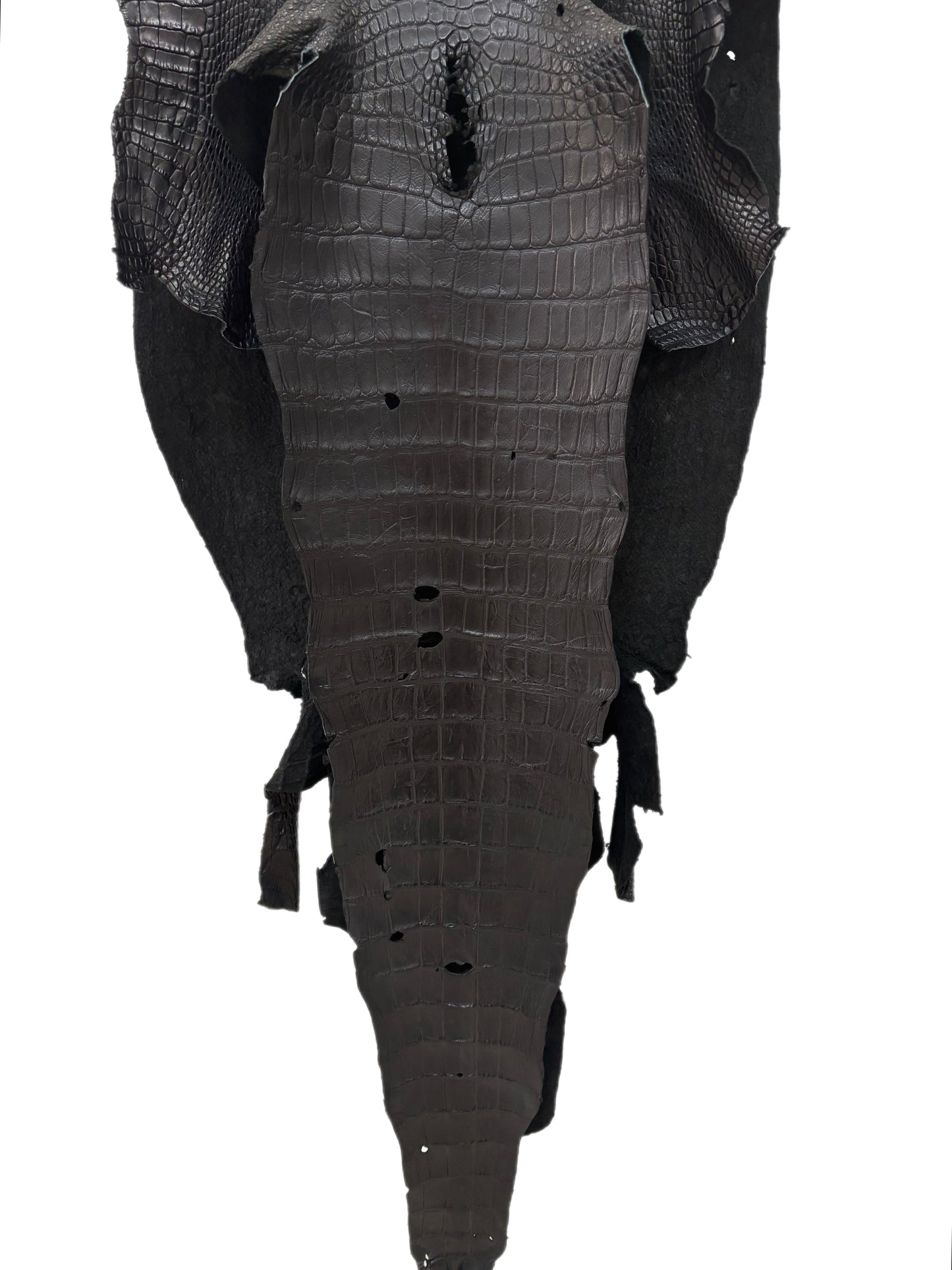 48 cm Grade 4/5 Black Matte Wild American Alligator Leather - Tag: LA23-0003267
