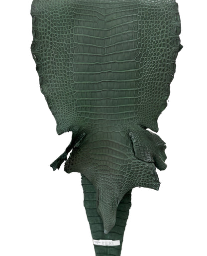 38 cm Grade 1/2 Forest Green Matte Farm-Raised American Alligator Leather - Tag: LA17-0274467