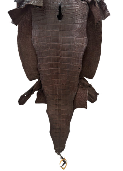 40 cm Grade 2/3 Chocolate Matte Wild American Alligator Leather - Tag: LA23-0051979