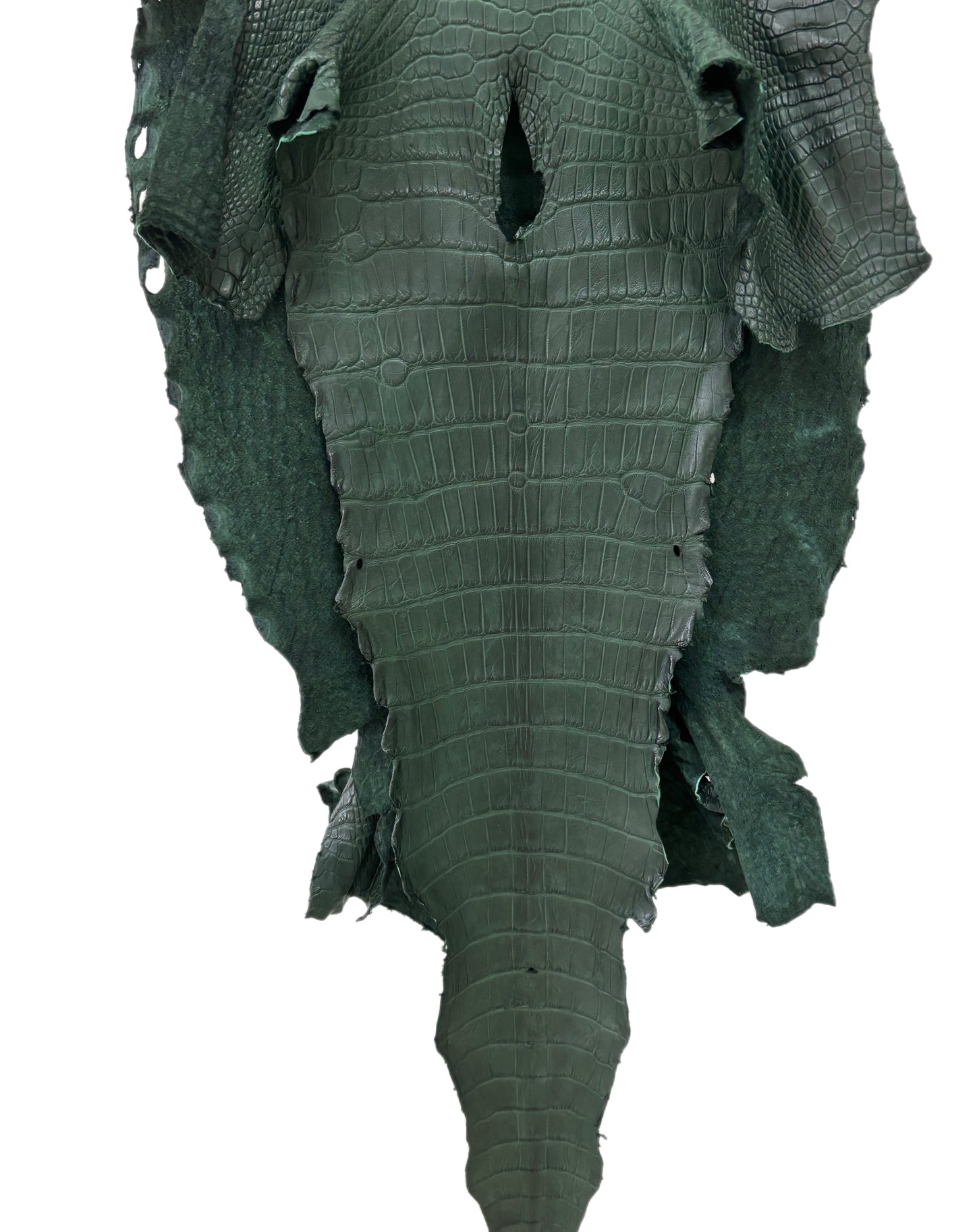 44 cm Grade 4/5 Forest Green Matte Wild American Alligator Leather - Tag: LA23-0003261