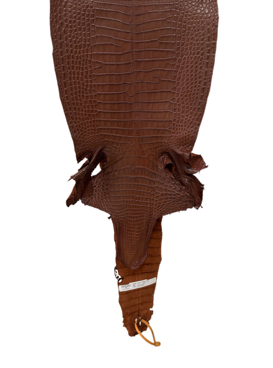 30 cm Grade 2/3 Rodeo Matte Farm-Raised American Alligator Leather - Tag: FL17-0036069