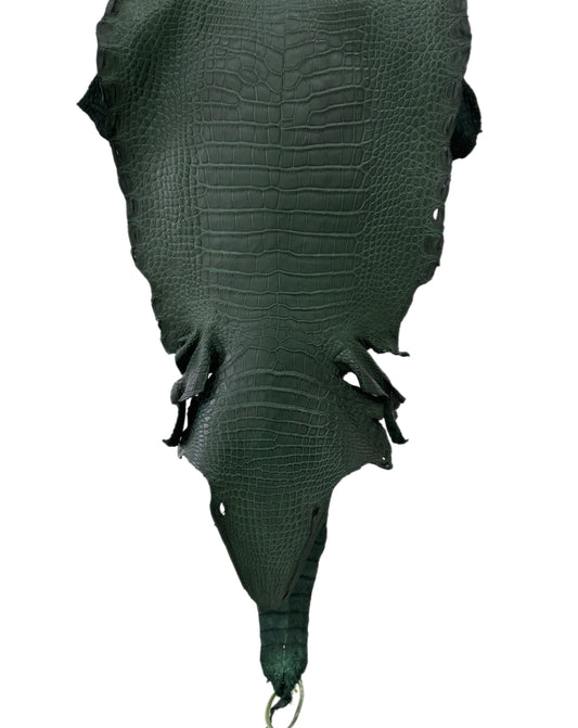 34 cm Grade 2/3 Forest Green Matte Wild American Alligator Leather - Tag: LA23-0051948