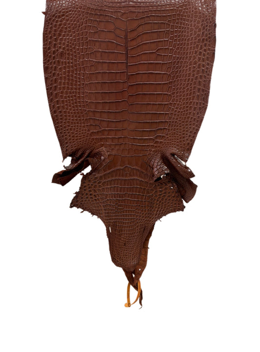 31 cm Grade 2/3 Rodeo Matte Farm-Raised American Alligator Leather - Tag: FL17-0036995