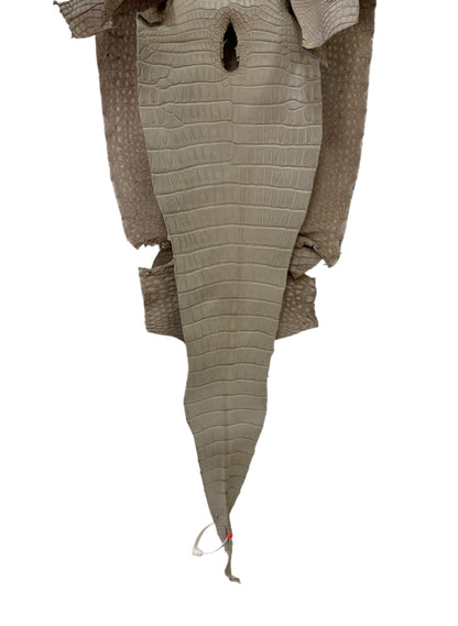 33 cm Grade 2/3 Stormy Matte Farm-Raised American Alligator Leather - Tag: LA23-0531456
