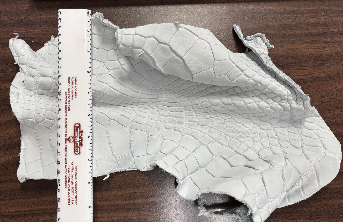 Genuine Crust Alligator Leather Scraps per Pound