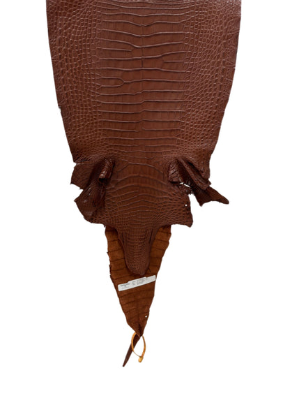 35 cm Grade 3/4 Rodeo Matte Farm-Raised American Alligator Leather - Tag: FL17-0035997