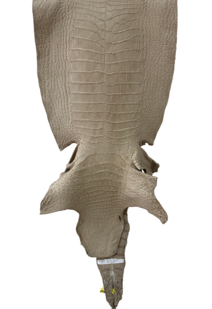 42 cm Grade 3/4 Oatmeal Matte Wild American Alligator Leather - Tag: LA25-0010643