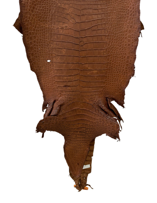 41 cm Grade 4/5 Cigar Matte Wild American Alligator Leather - Tag: LA23-0013437