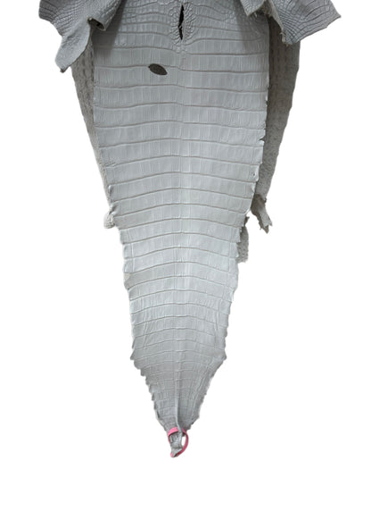 36 cm Grade 1/2 White Matte Farm-Raised American Alligator Leather - Tag: FL21-0024221