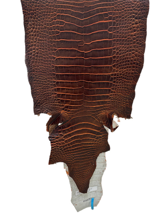 39 cm Grade 1/2 Sienna Desert Wild American Alligator Leather - Tag: ESRE-0050830