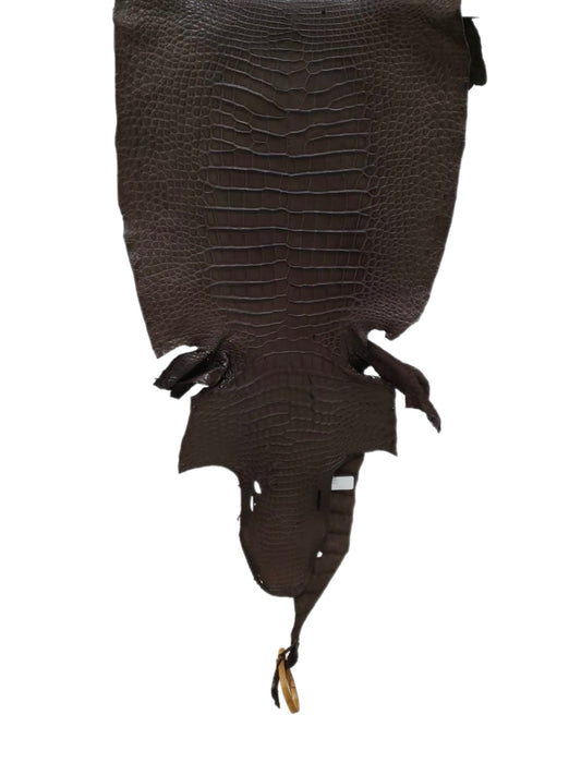 34 cm Grade 3/4 Kralle Brown Matte Wild American Alligator Leather - Tag: LA16-0037826