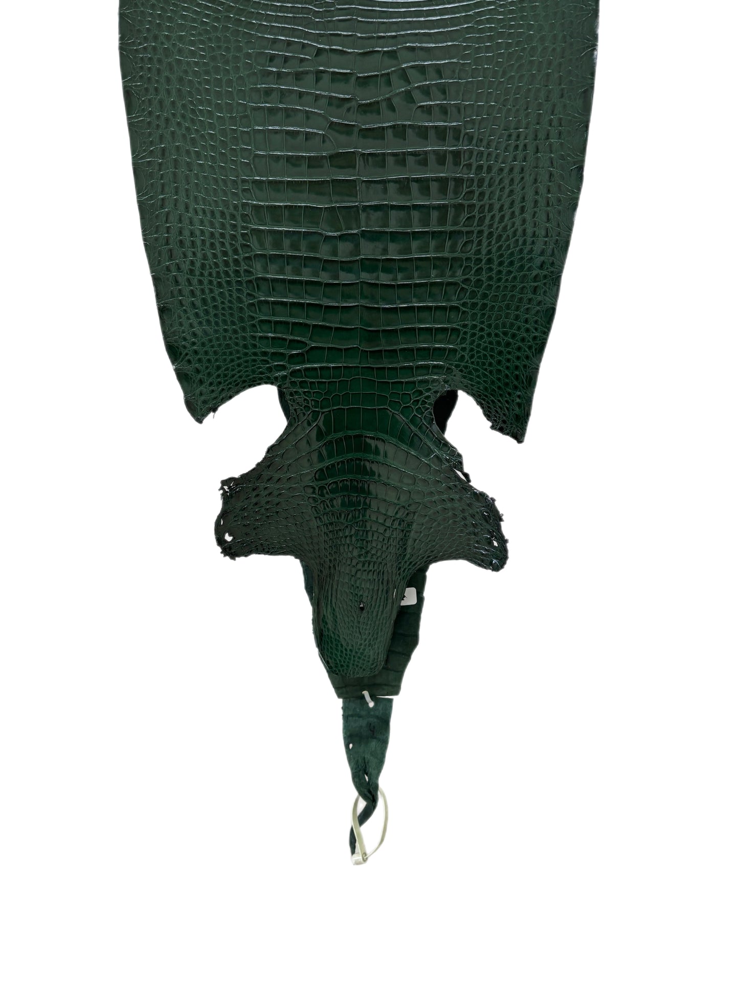 32 cm Grade 1/2 Forest Green Millennium Farm-Raised American Alligator Leather - Tag: FL17-0036513