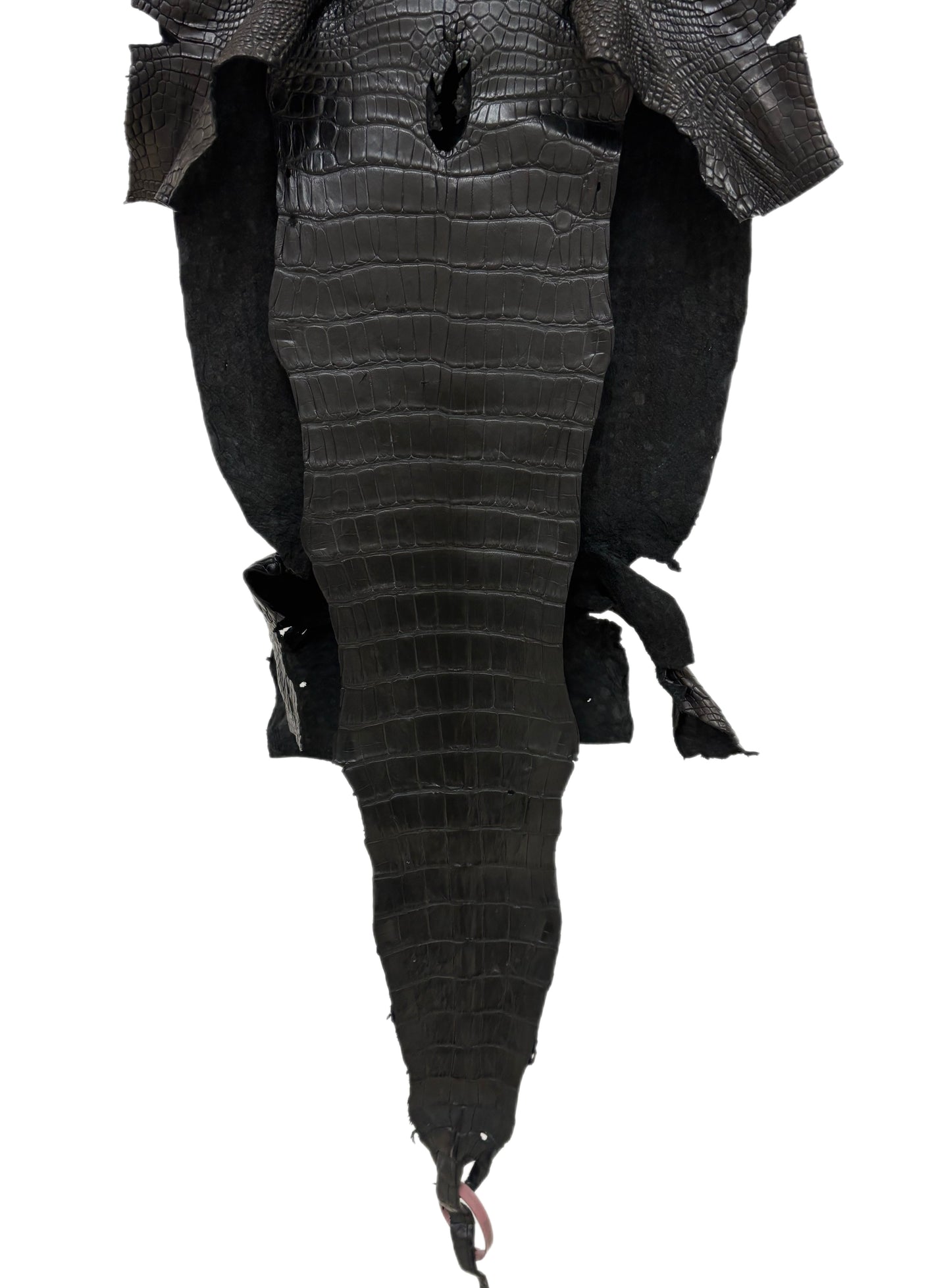 39 cm Grade 2/3 Black Matte Wild American Alligator Leather - Tag: LA24-0022411