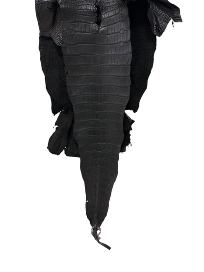 34 cm Grade 3/4 Black Matte Wild American Alligator Leather - Tag: LA18-0033278