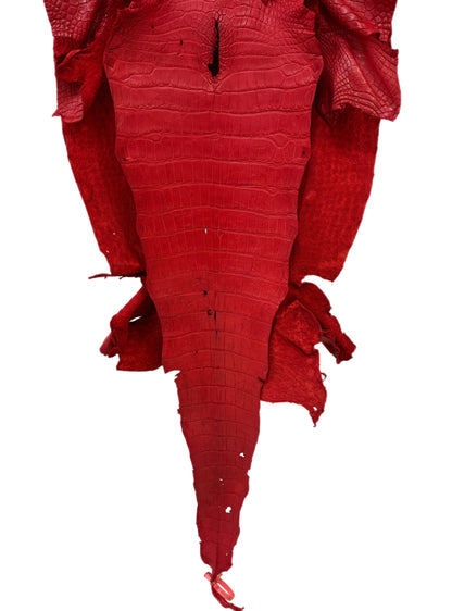45 cm Grade 3/4 Candy Apple Red Matte Wild American Alligator Leather - Tag: LA24-0018654