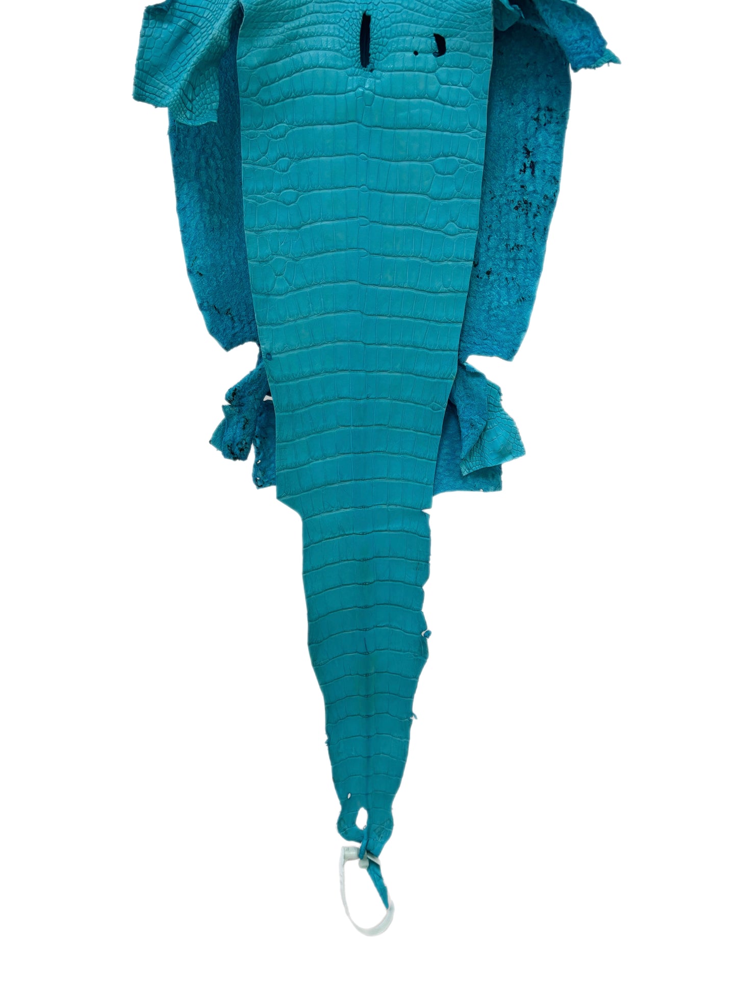 27 cm Grade 1/2 Turquoise Matte Wild American Alligator Leather - Tag: LA23-0049962