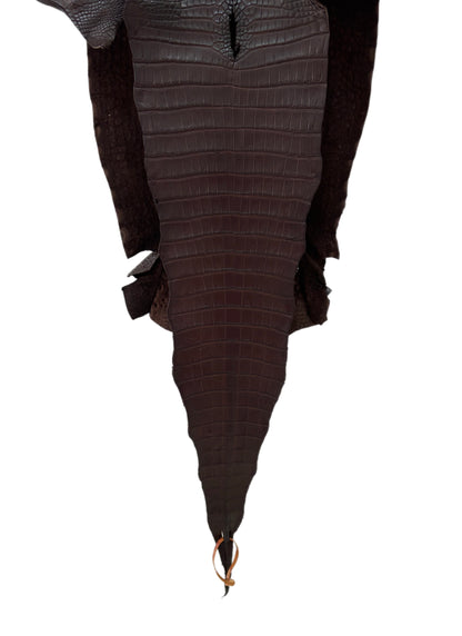 35 cm Grade 1/2 Chocolate Matte Farm-Raised American Alligator Leather - Tag: FL17-0035053