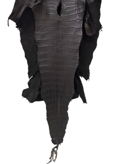 37 cm Grade 3/4 Black Matte Wild American Alligator Leather - Tag: LA23-0014524