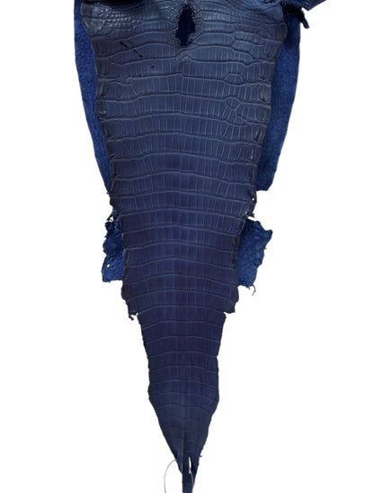 26 cm Grade 2/3 Admiral Blue Matte Farm-Raised American Alligator Leather - Tag: LA21-0308115