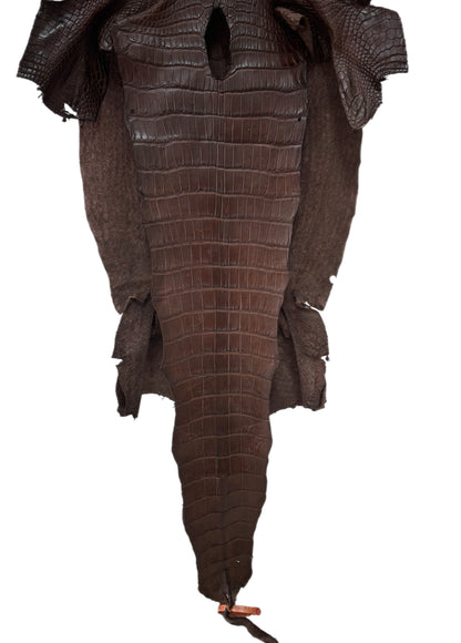 42 cm Grade 3/4 Chocolate Matte Wild American Alligator Leather - Tag: LA24-0023180