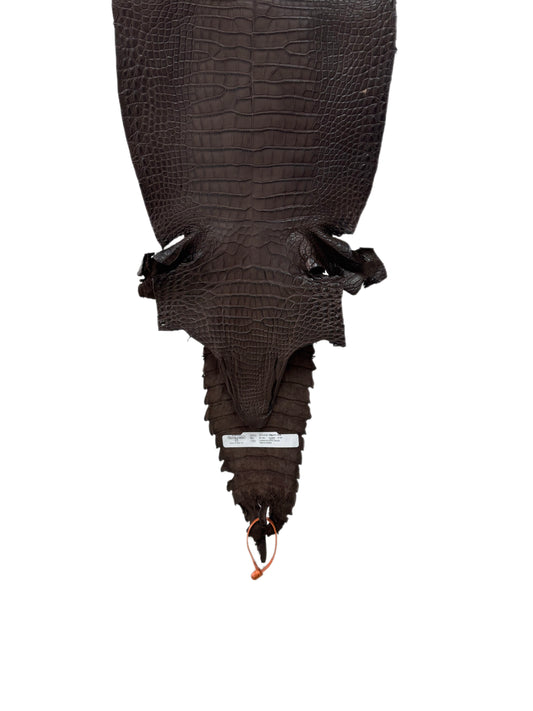 29 cm Grade 2/3 Chocolate Matte Farm-Raised American Alligator Leather - Tag: FL21-0024447