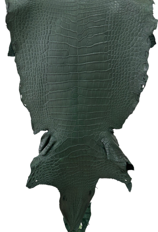39 cm Grade 3/4 Forest Green Matte Wild American Alligator Leather - Tag: LA23-0003180
