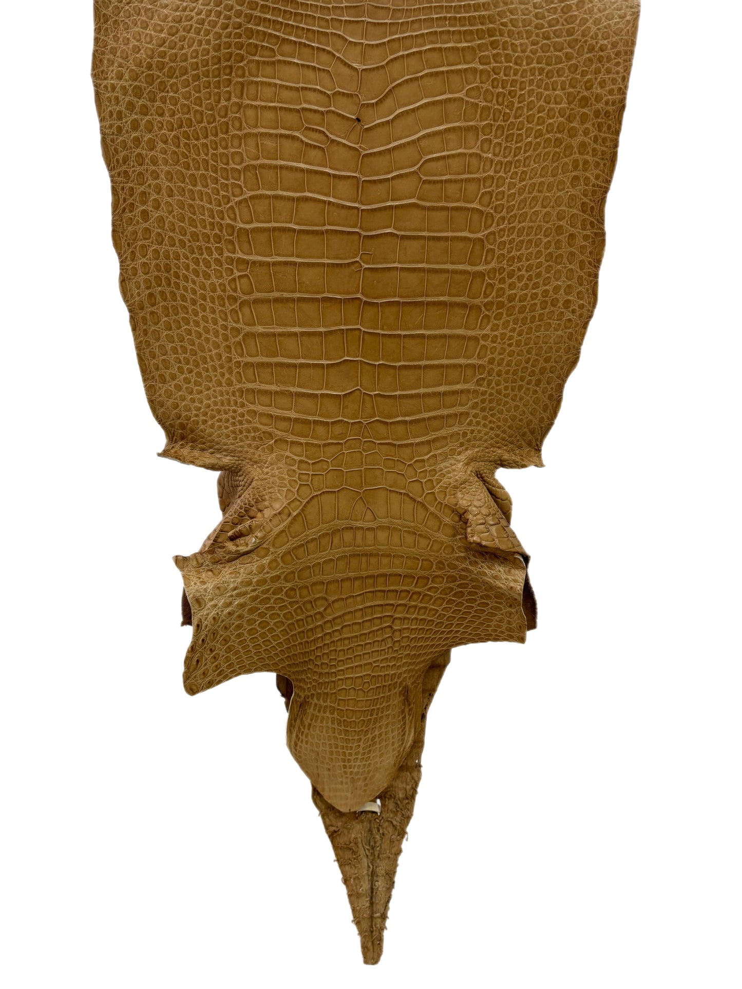 42 cm Grade 3/4 Antique Saddle Matte Wild American Alligator Leather - Tag: LA17-0034612