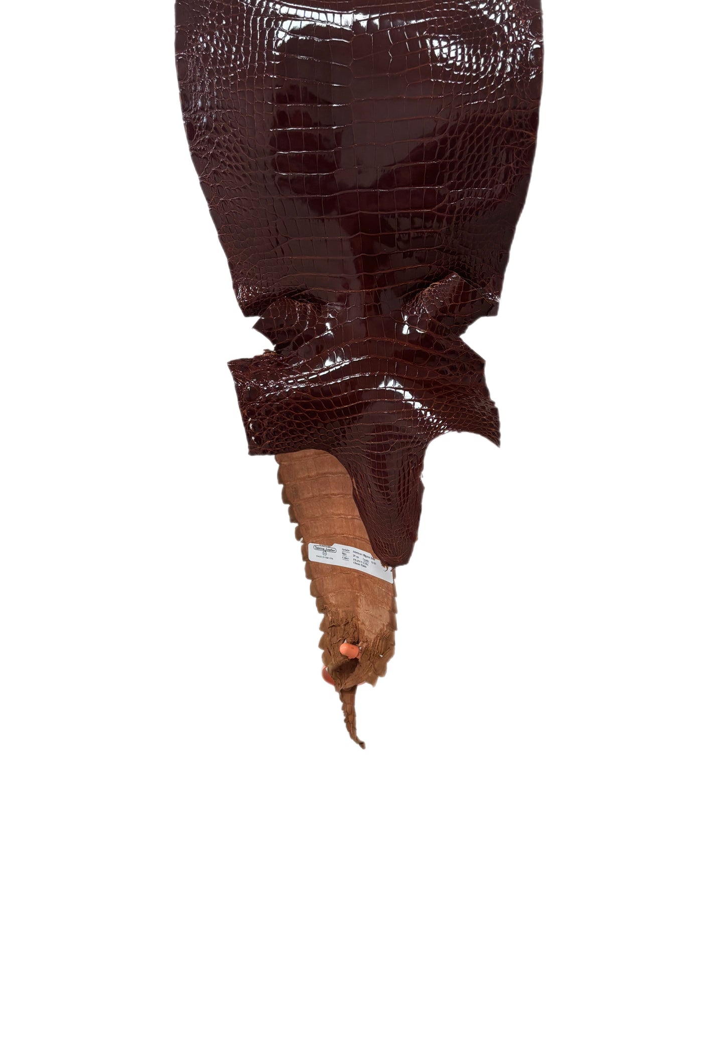 25 cm Grade 2/3 Peanut Glazed Farm-Raised American Alligator Leather - Tag: FL21-0024729